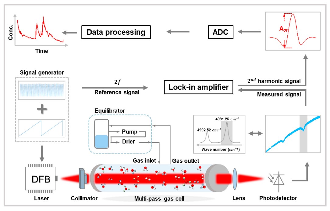 Tunable Diode Laser Spectroscopy